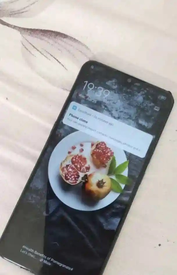 vivo Z1x