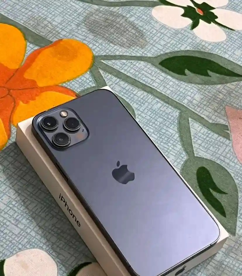 Apple iPhone 12 Pro Max