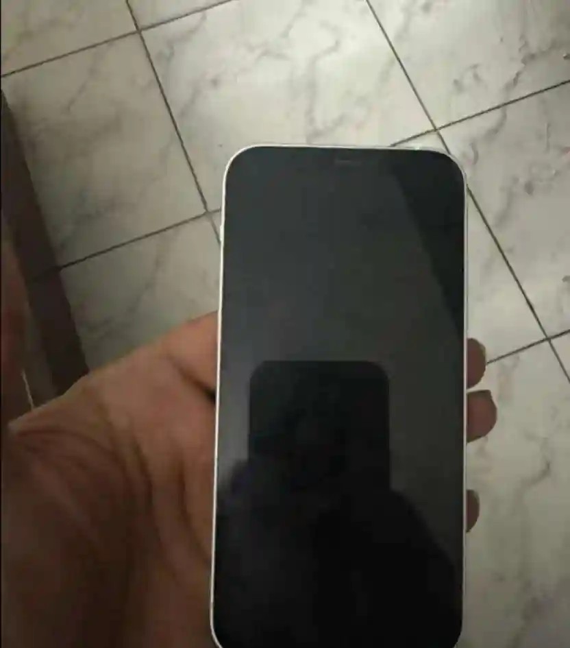Apple iPhone 12