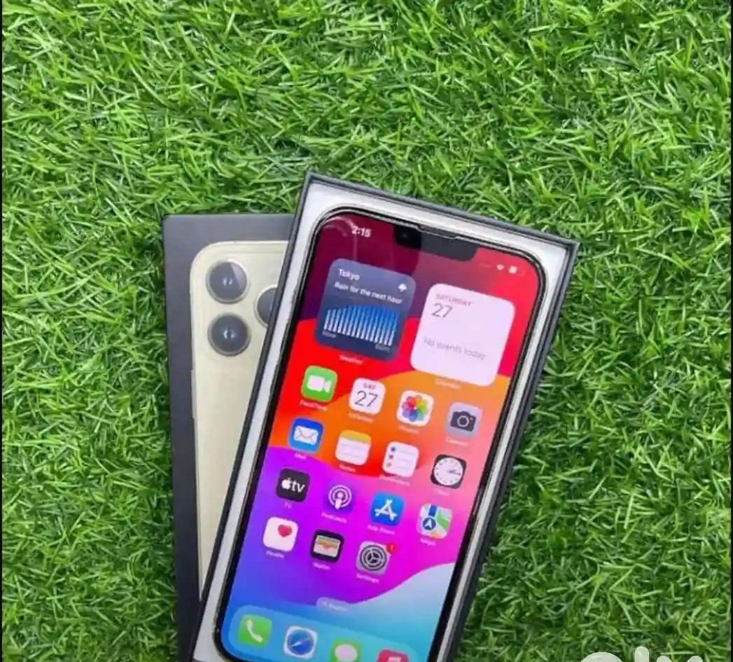Apple iPhone 13 Pro Max
