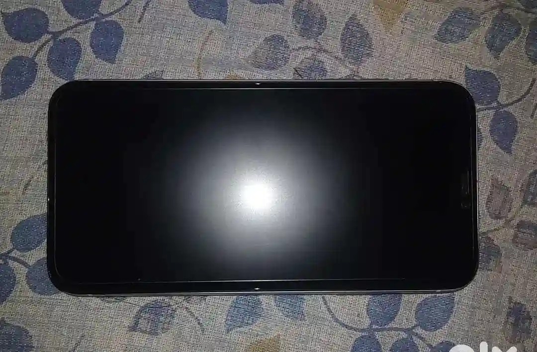 Apple iPhone 11