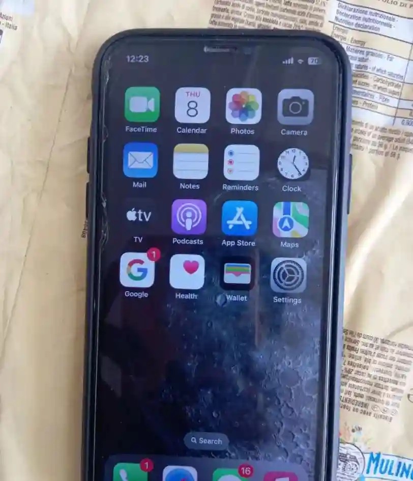 Apple iPhone X