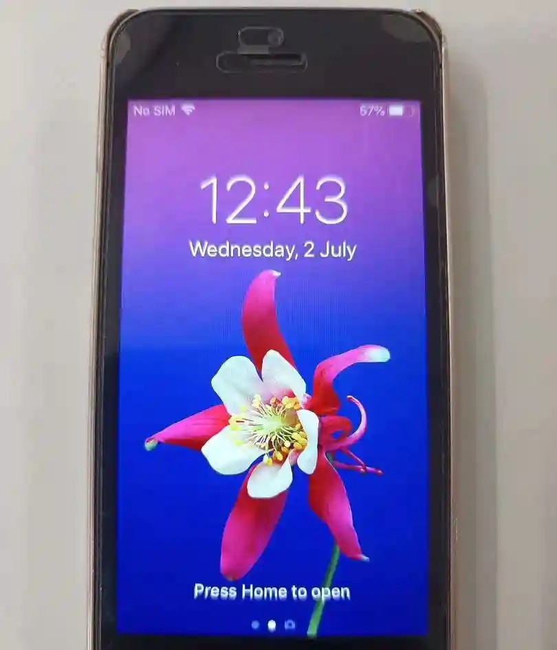 Apple iPhone 5s