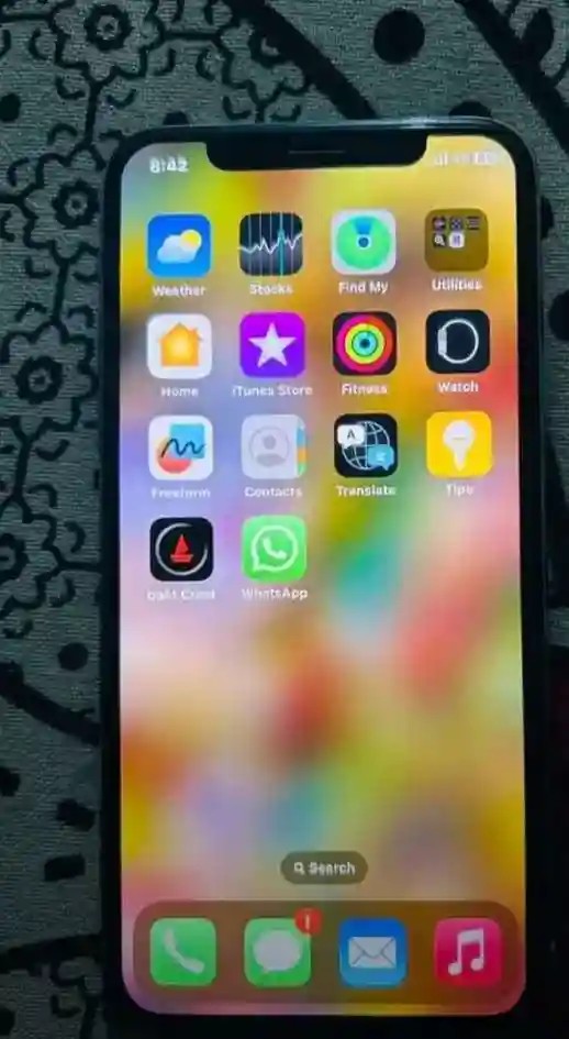 Apple iPhone X