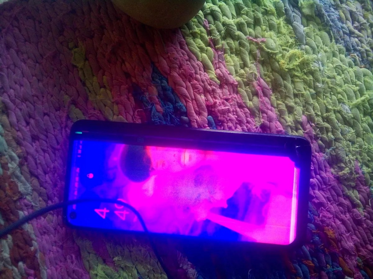Oppo F19