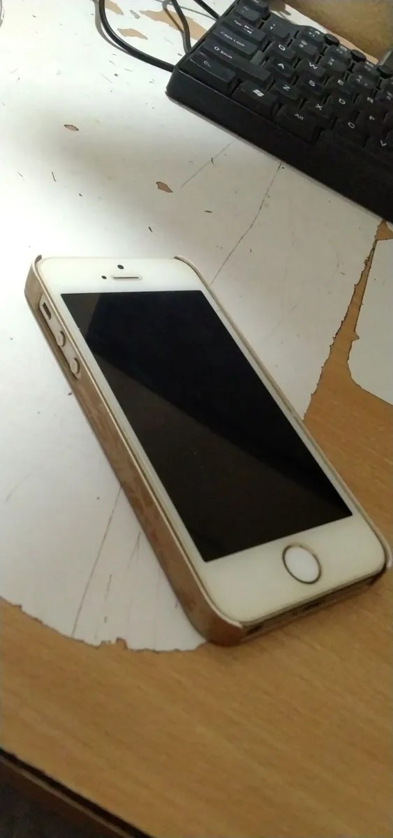 Apple iPhone 5s