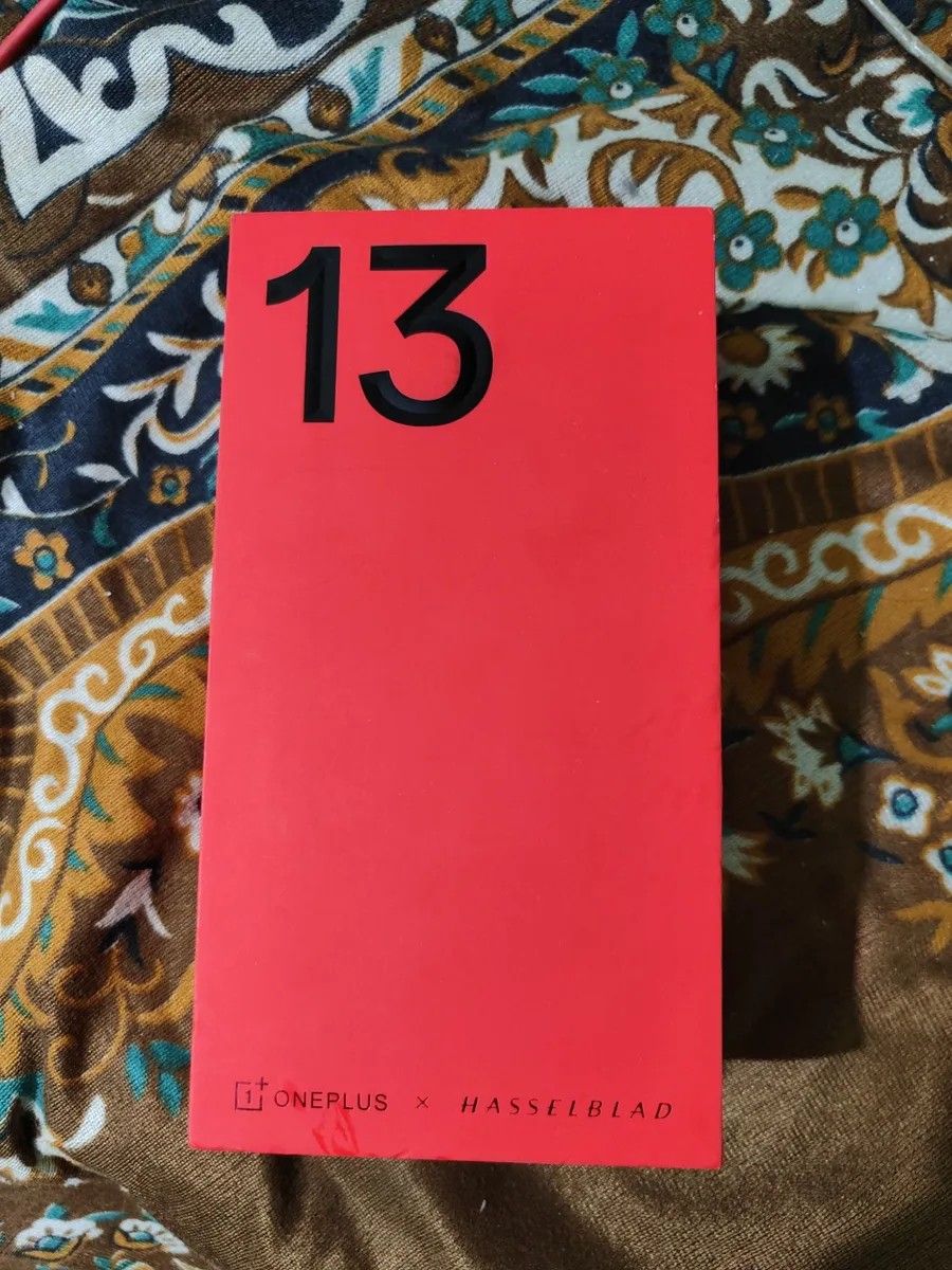OnePlus 13