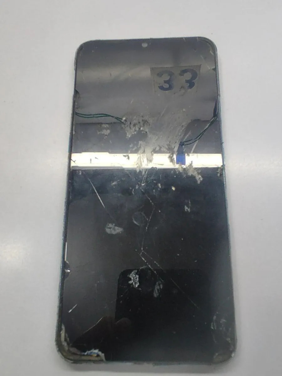 vivo S1