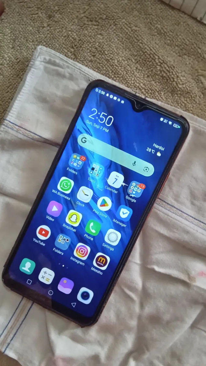 vivo S1