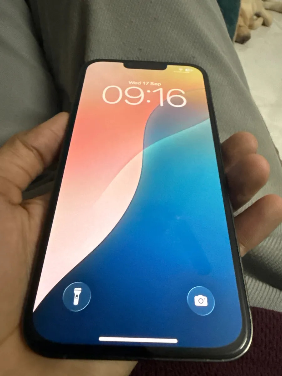 Apple iPhone 13 Pro Max