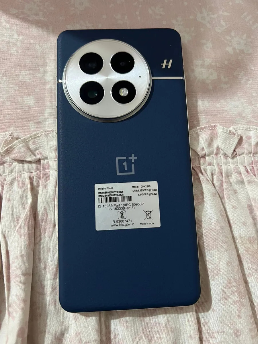 OnePlus 13