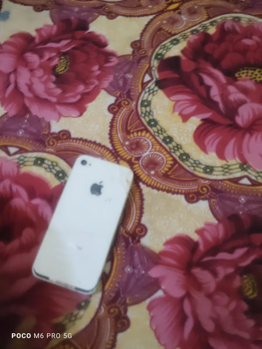 Apple iPhone 6s Plus