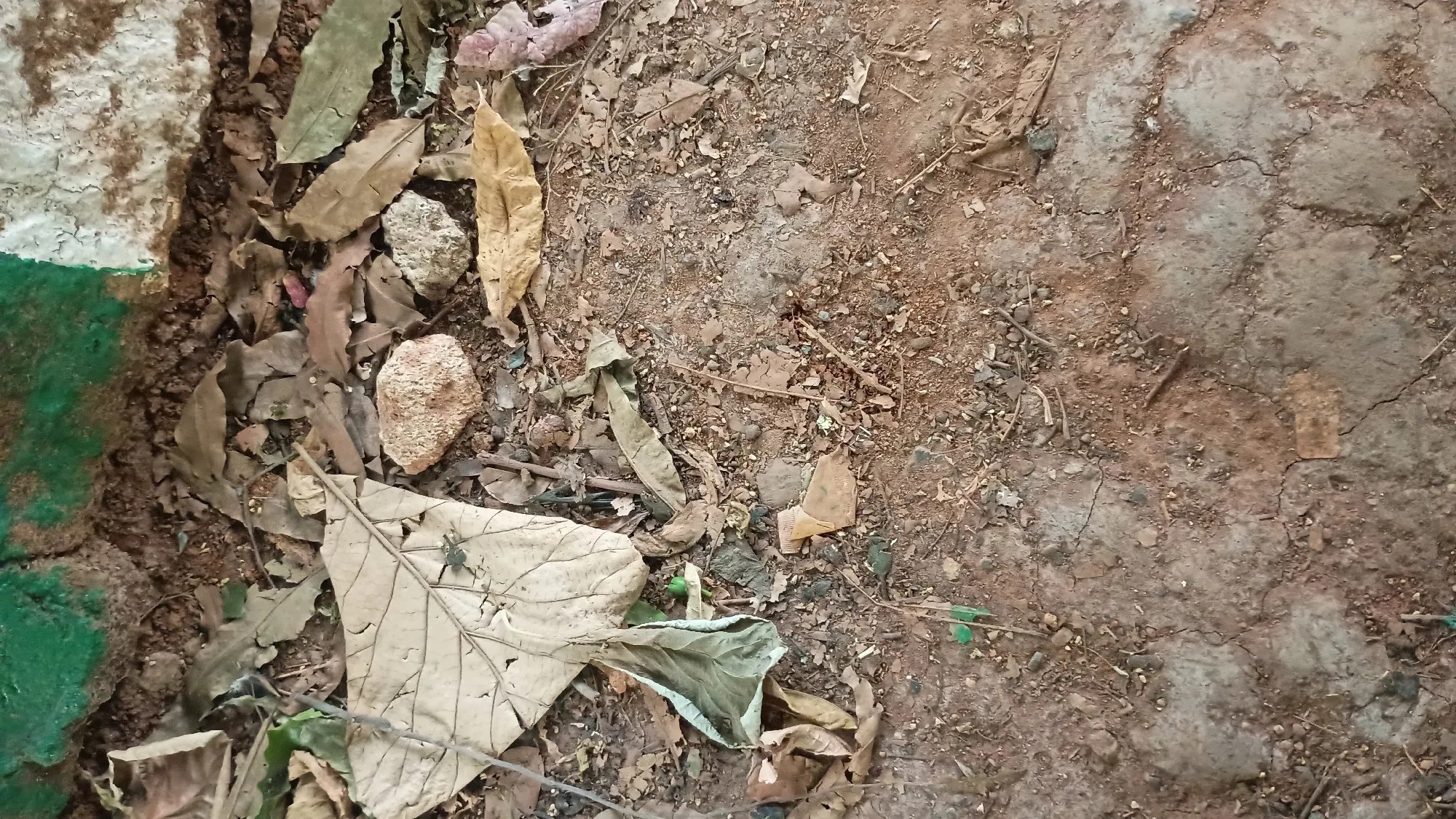 Motorola Moto G64