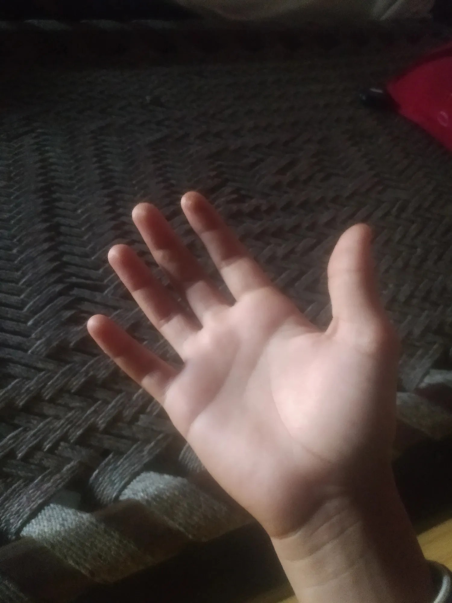 Xiaomi Redmi 8