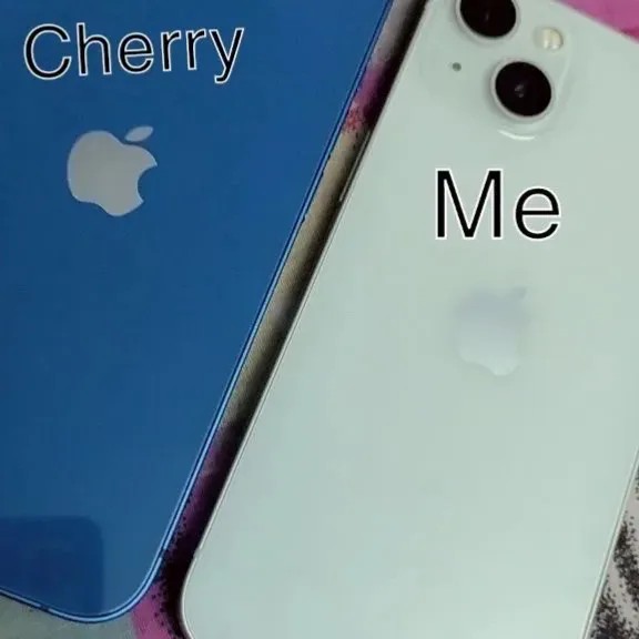 Apple iPhone 13