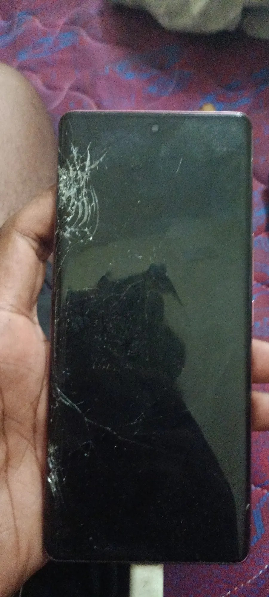 vivo V29 Pro