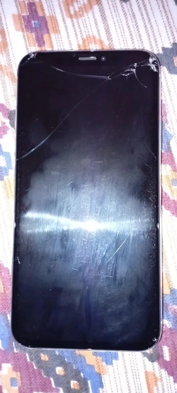 Apple iPhone X