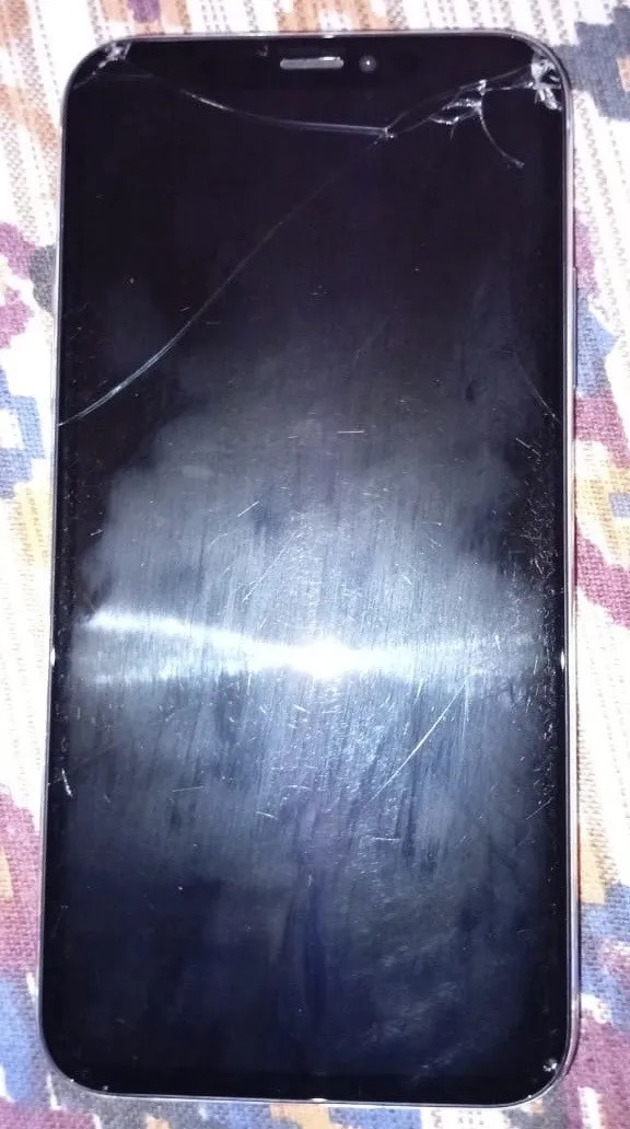 Apple iPhone X