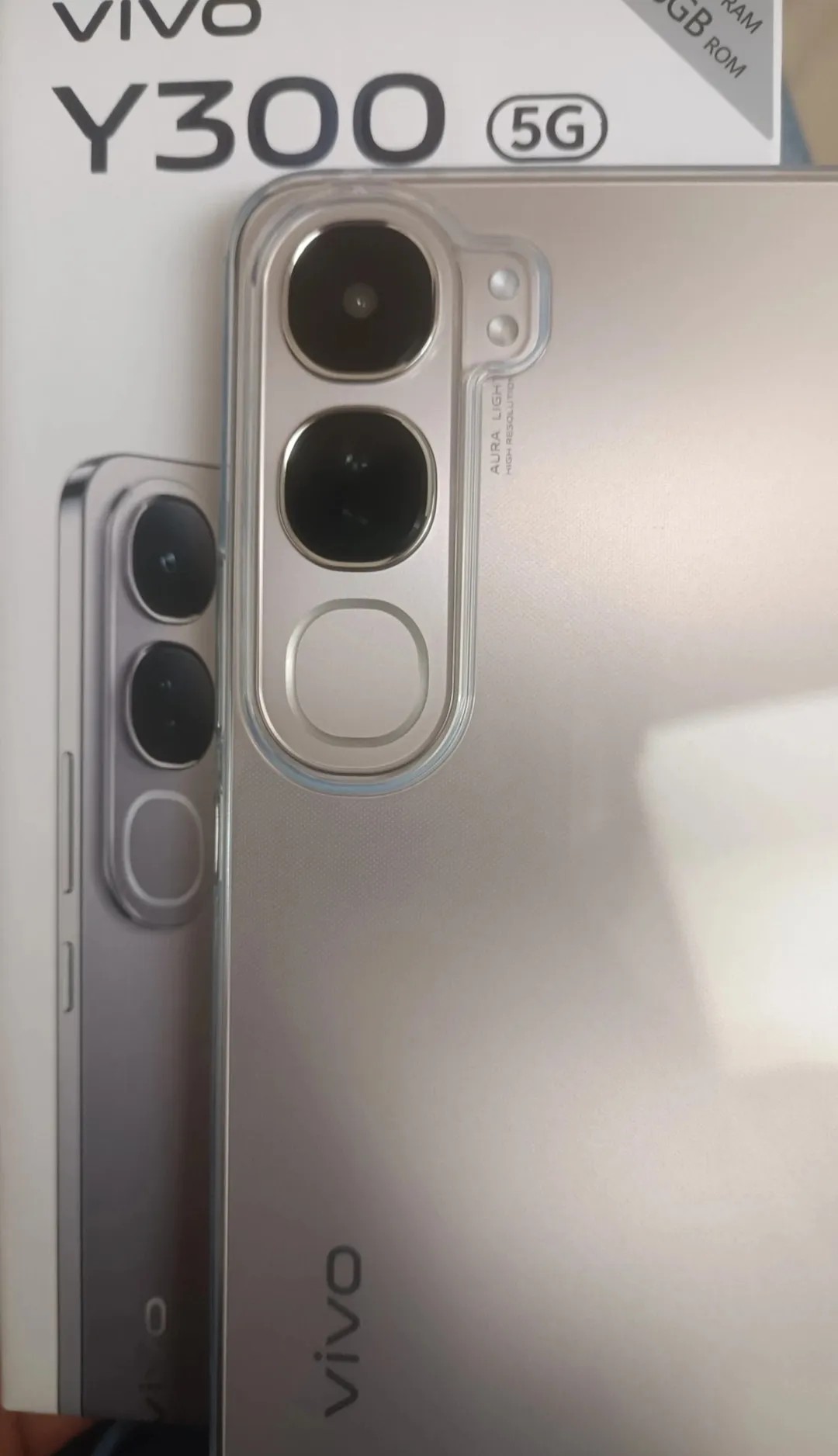 vivo Y300