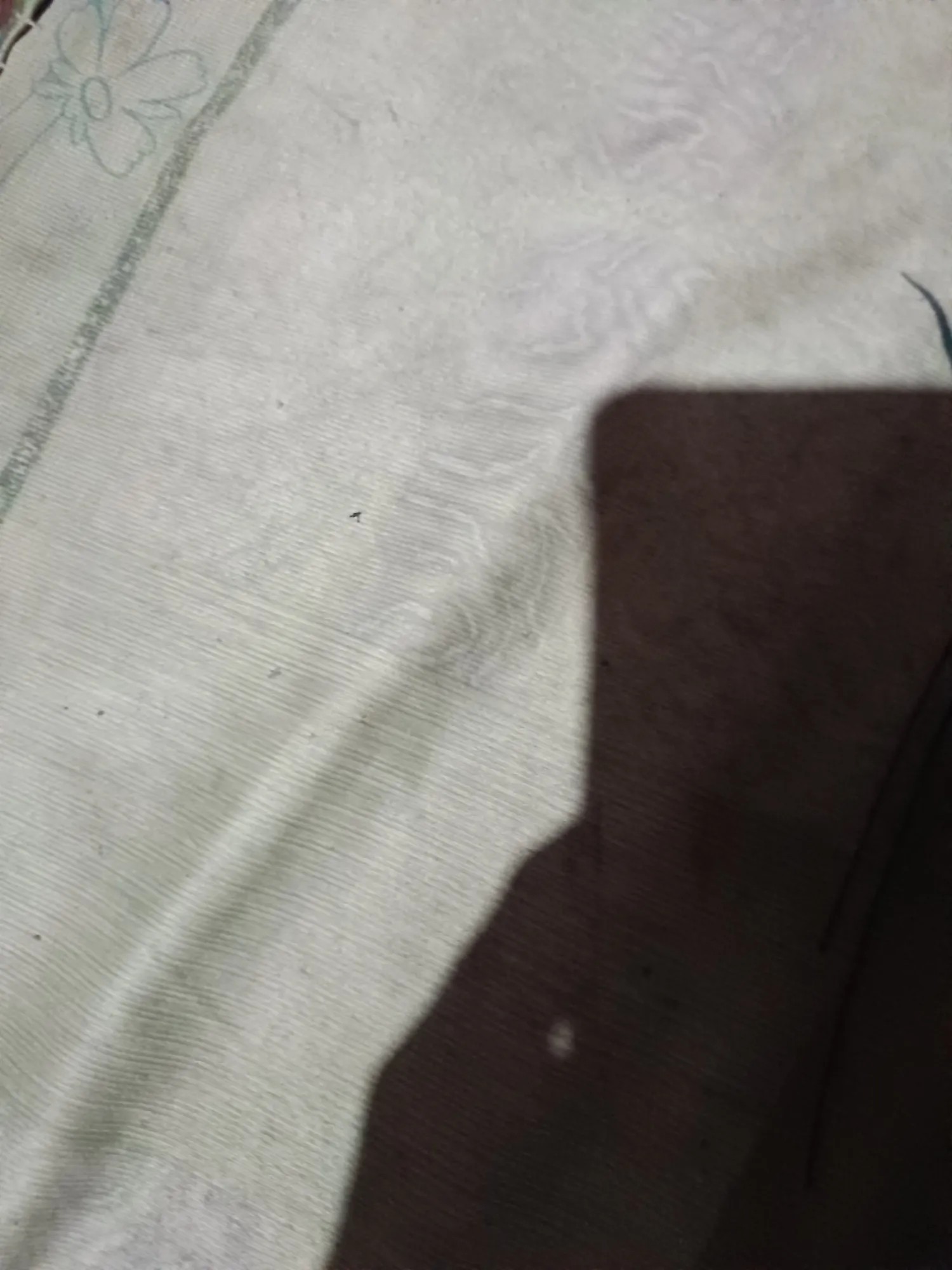Xiaomi Redmi Note 13
