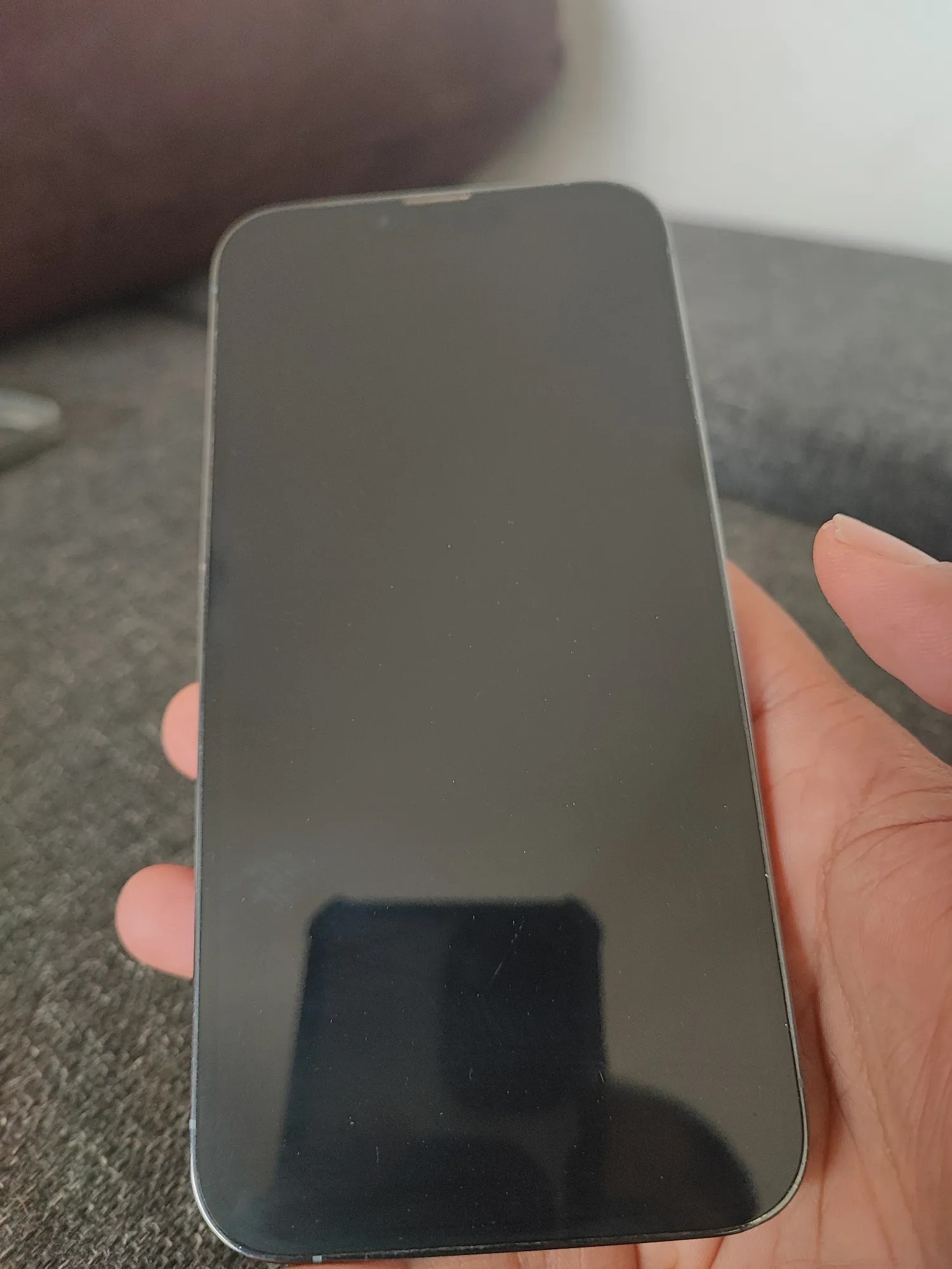 Apple iPhone 13 Pro Max