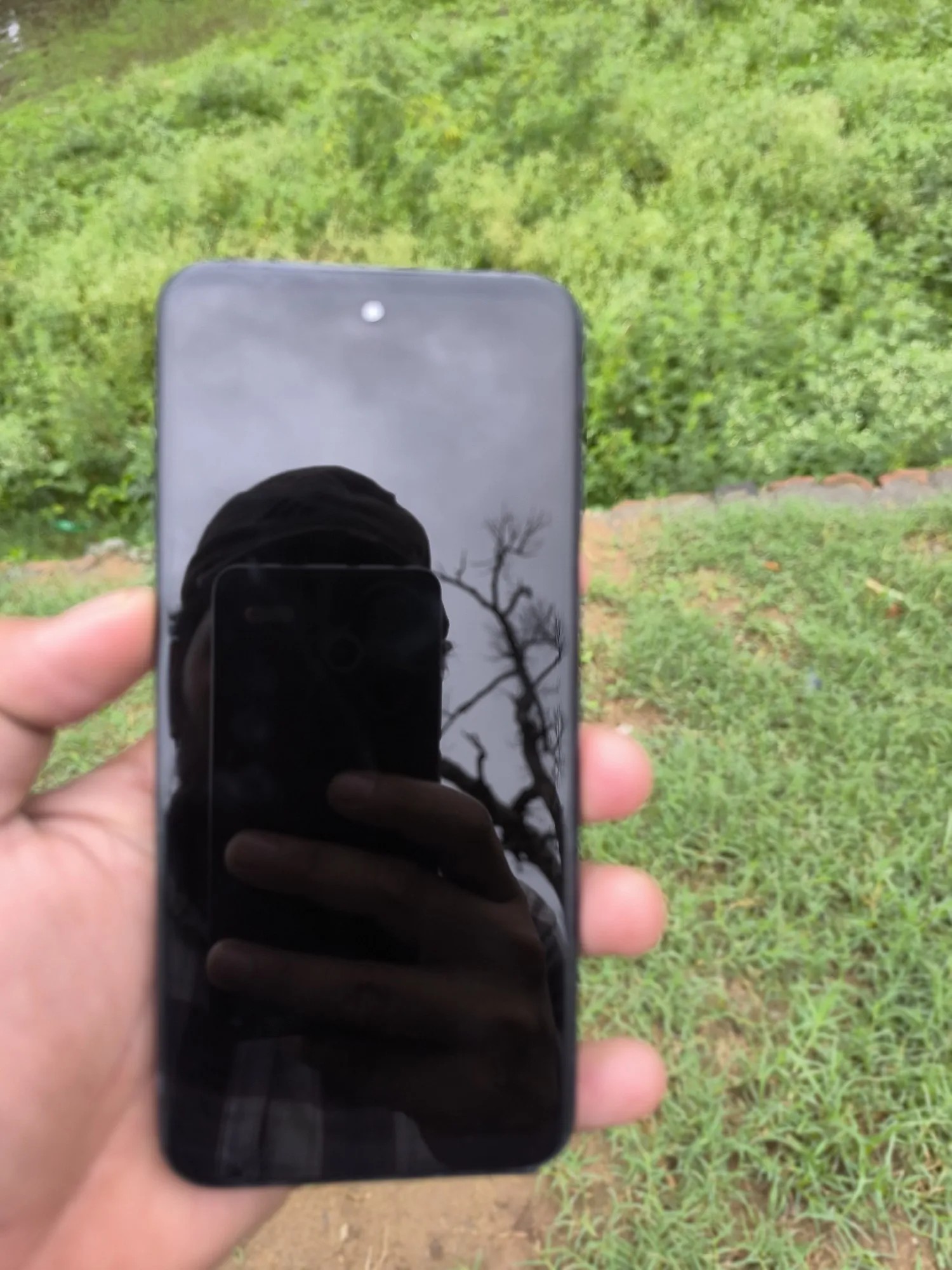 Motorola Moto G31
