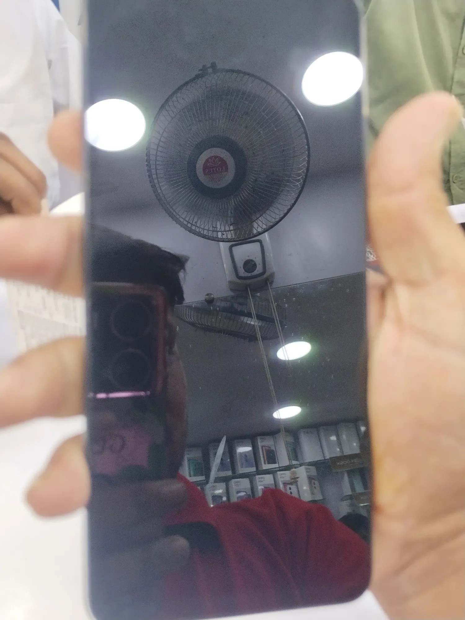 vivo V29e