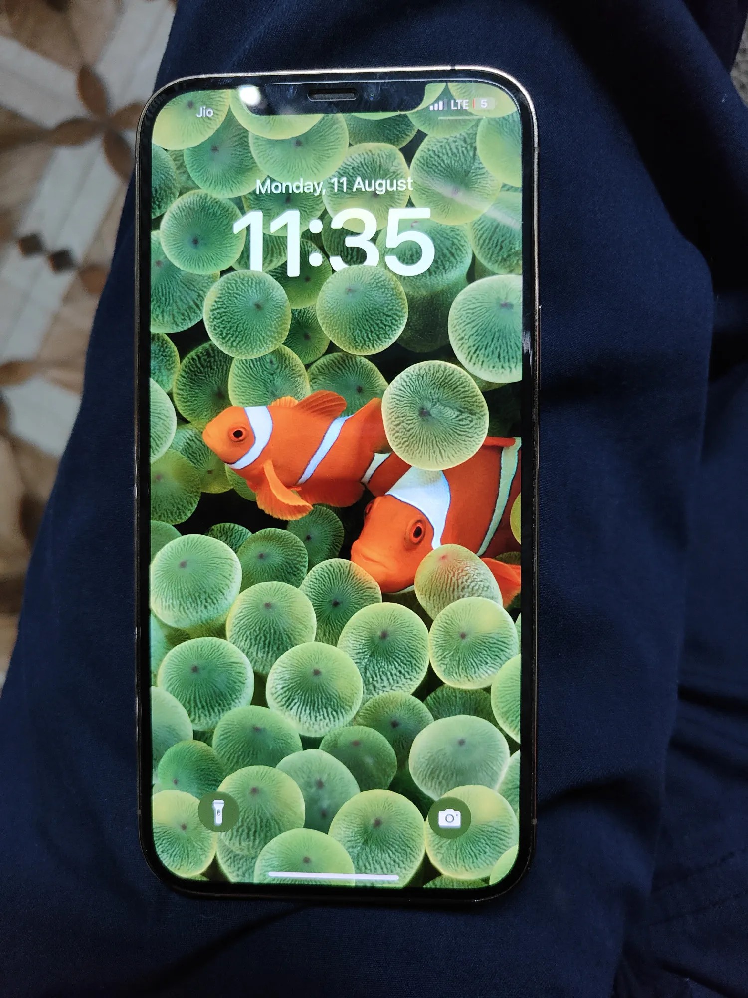Apple iPhone 12 Pro Max