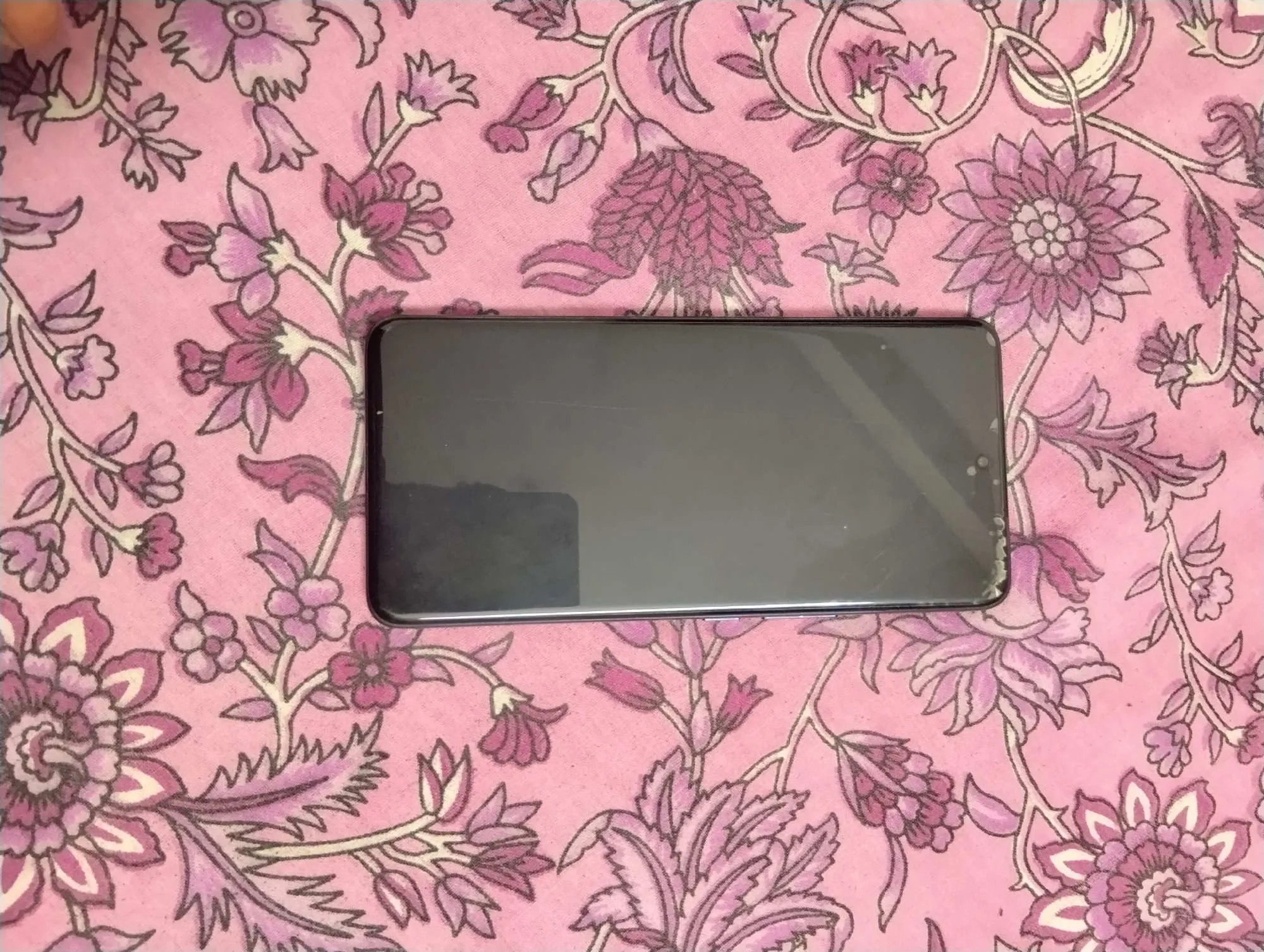 vivo V50e