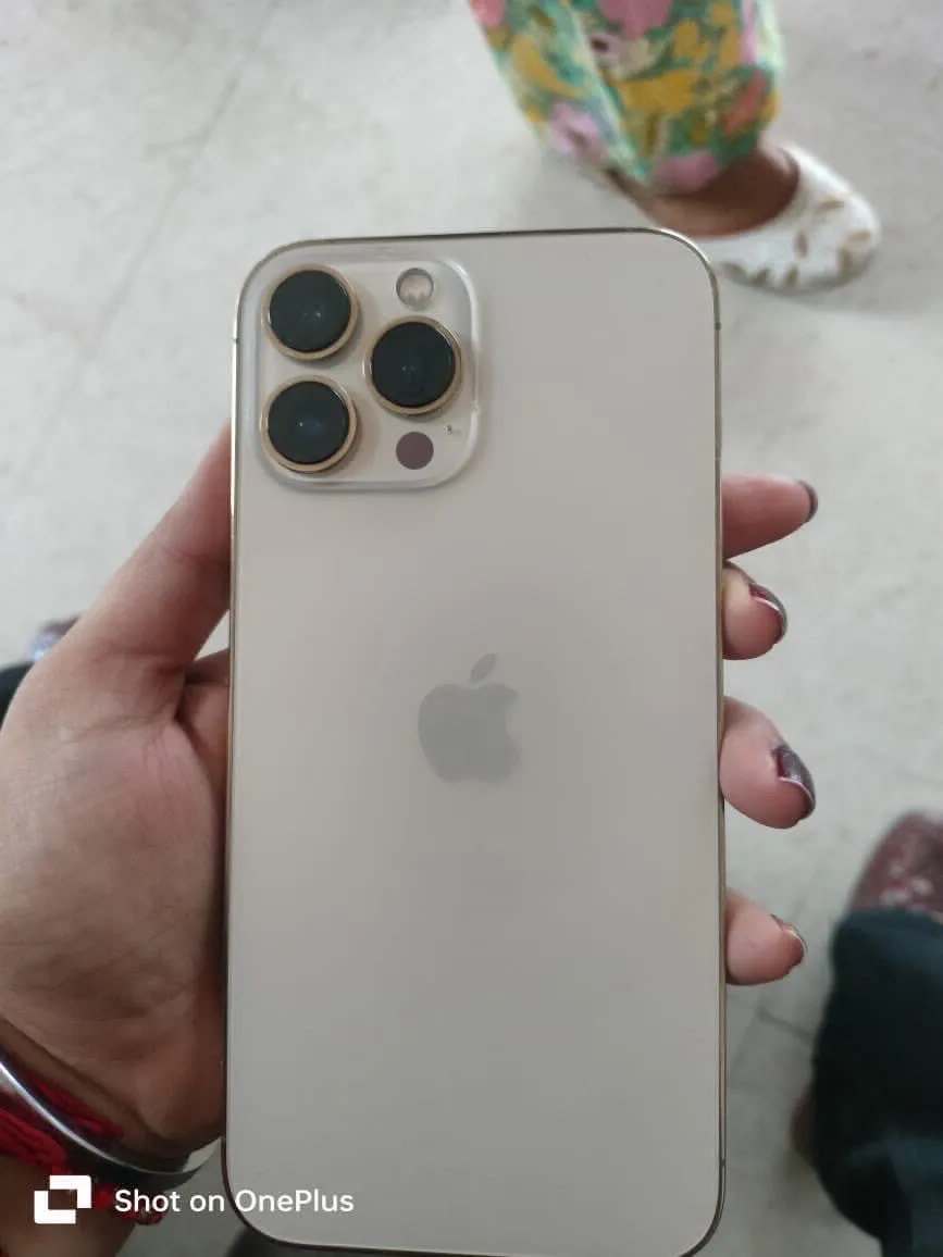 Apple iPhone 13 Pro Max