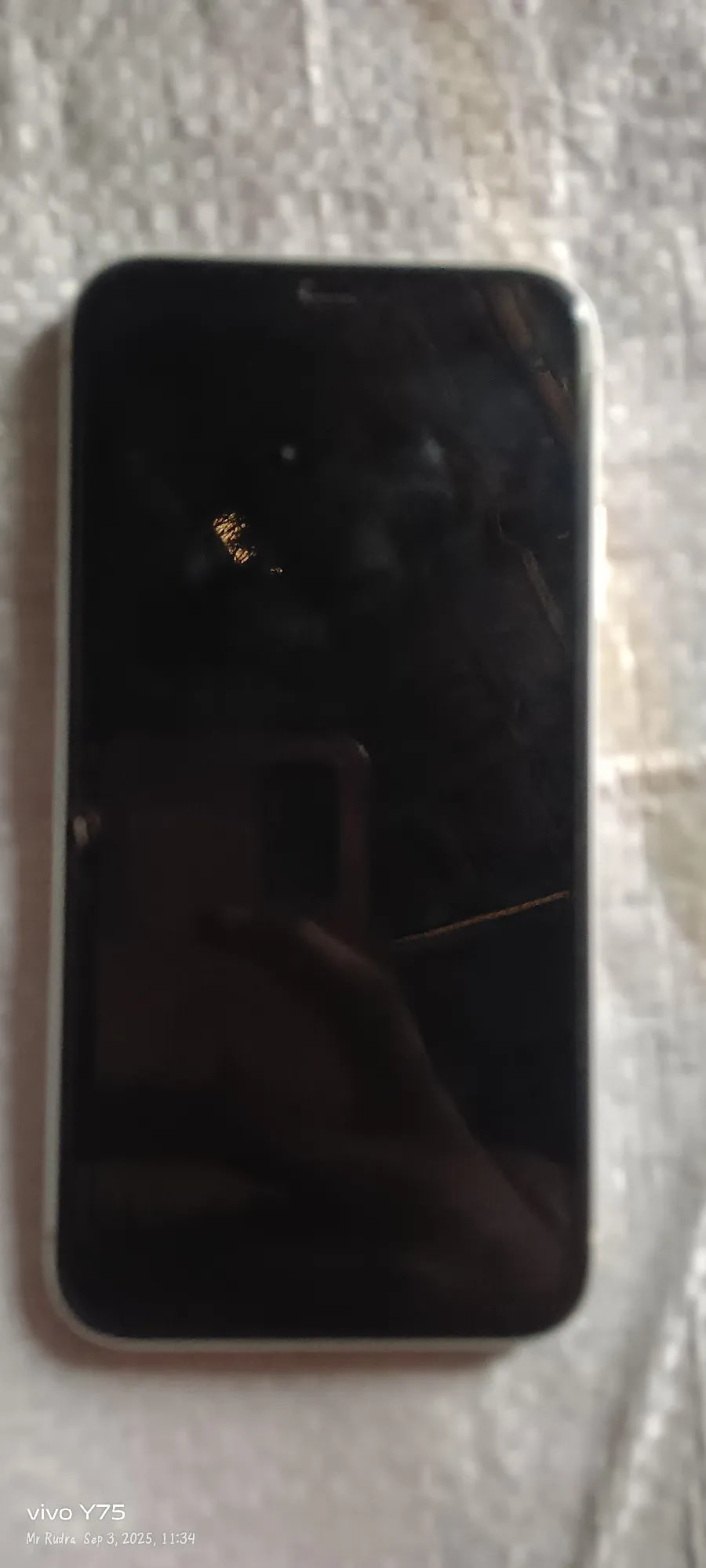 Apple iPhone XR