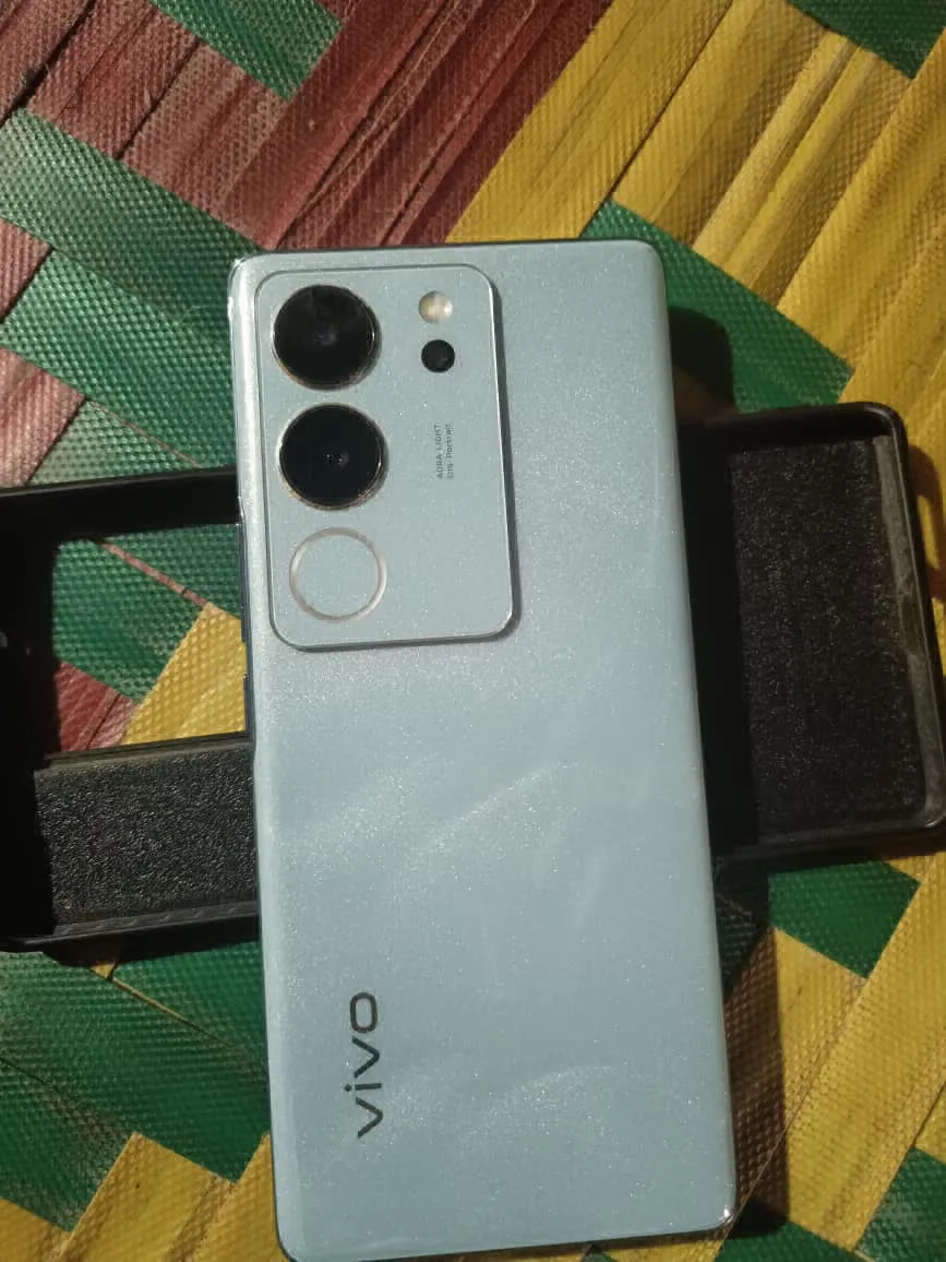 vivo V29