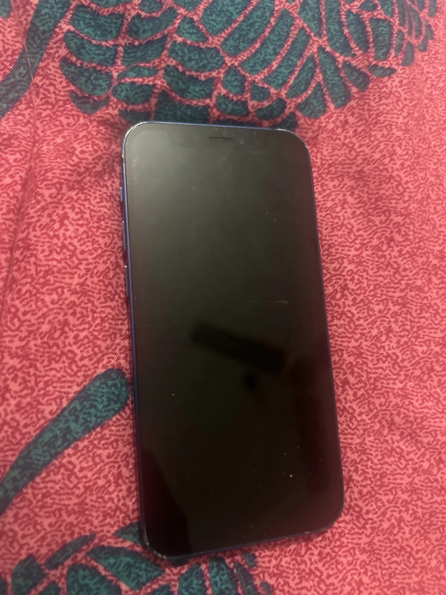 Apple iPhone 12 mini