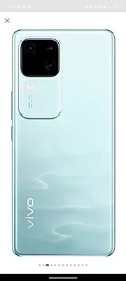 vivo V30