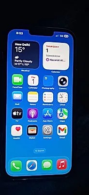 Apple iPhone 13 Pro Max