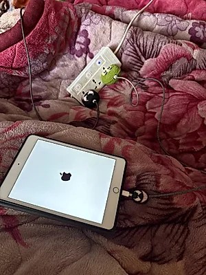 Apple iPad mini 4 (2015)