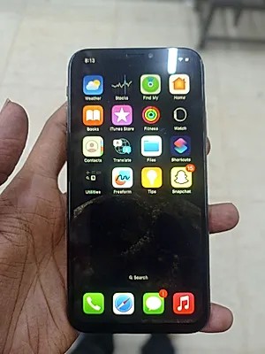 Apple iPhone X