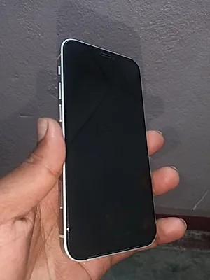 Apple iPhone 12 mini