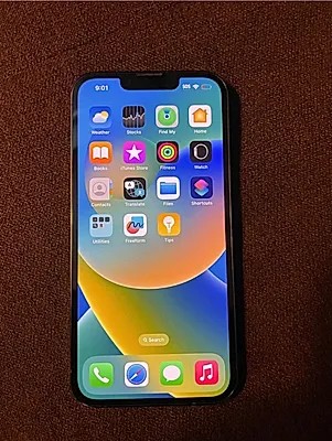 Apple iPhone 13 Pro Max