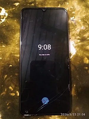 vivo V20 2021