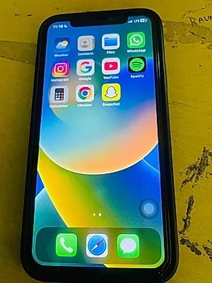 Apple iPhone X
