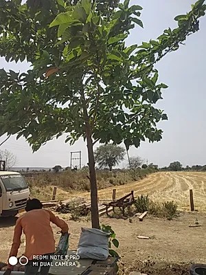 Xiaomi Redmi Note 5 Pro