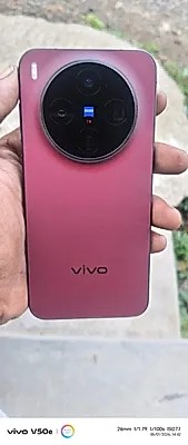 vivo X300