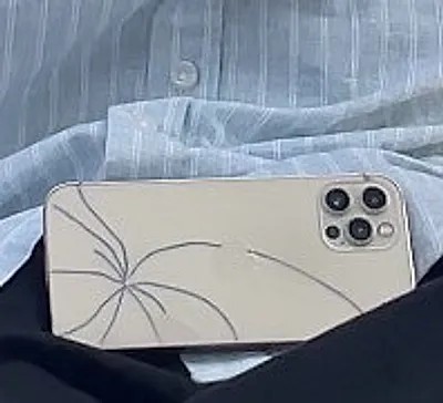 Apple iPhone 12 Pro