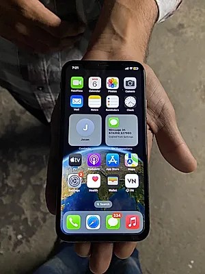 Apple iPhone X