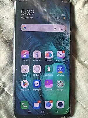vivo S1