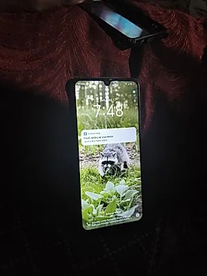 Vivo Y100A