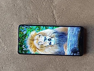 itel P40