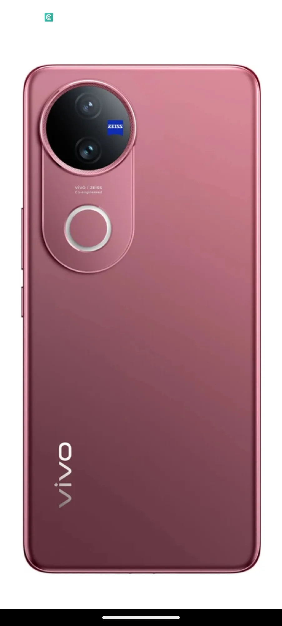 vivo V50