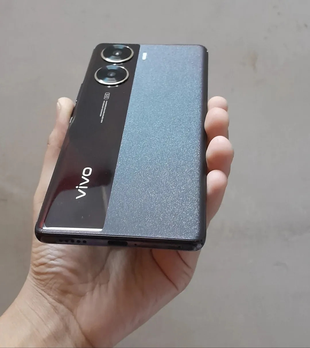 vivo V29e
